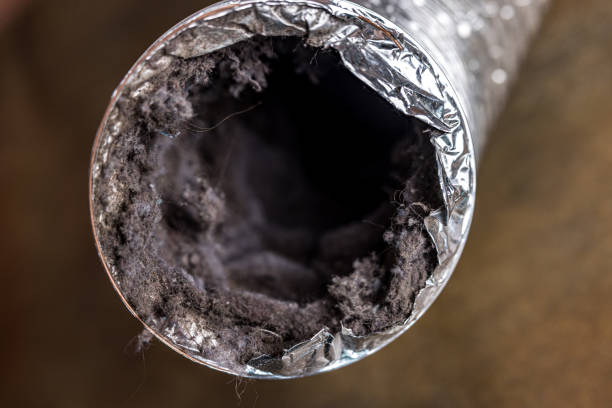 Best Local Air Duct Cleaning Services  in Staples, CT